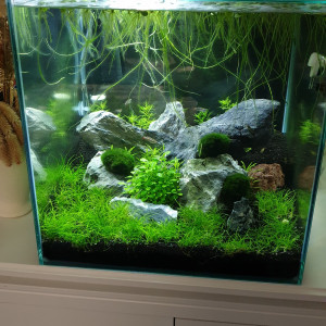 Nano 56 L