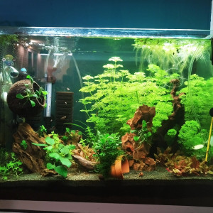 Mon 1er 80L