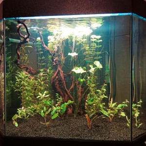 Publication de Mary4633