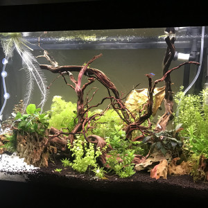 125l