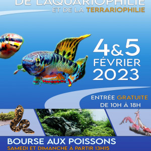 19éme slon azuréen de l'aquariophilie et de la terrariophilie d'Antibes