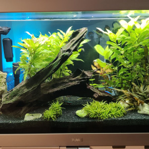 Fluval Studio 900