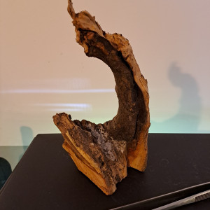 Publication de Romain76250