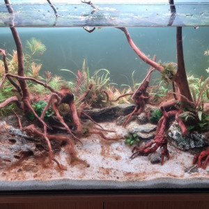110L