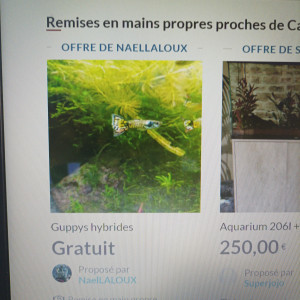 Publication de NaelLALOUX
