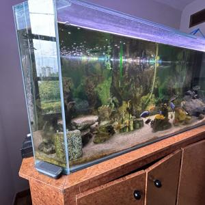 Aquarium 600litres