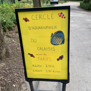 club aquariophilie Cercle d’aquariophile du Calaisis