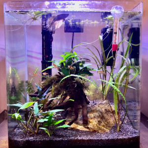 Salon 35 L
