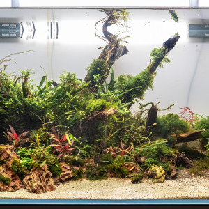 250 Litre