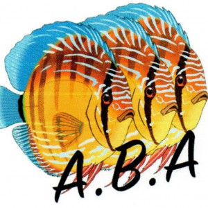 Portes ouvertes de l'Association Beauvaisienne d'Aquariophilie (A.B.A.)