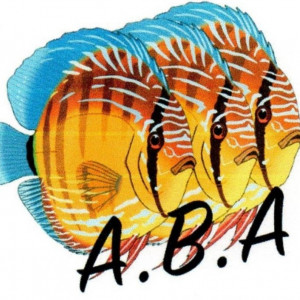 club aquariophilie A.B.A. (Association Beauvaisienne d'Aquariophilie)