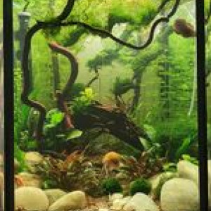 Publication de cedric-beauvois