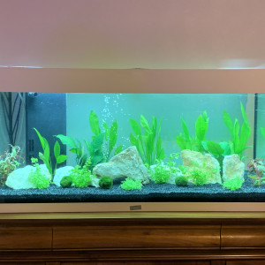 Aquarium 200 litres