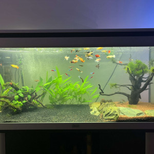 AquAL 200