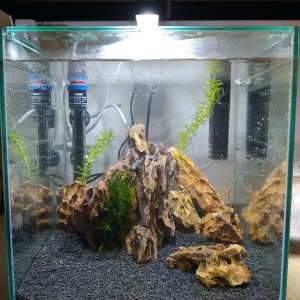 Nano1 33l