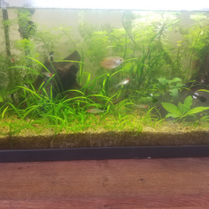 60 L
