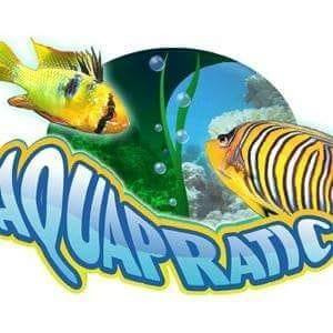 club aquariophilie AQUAPRATIC