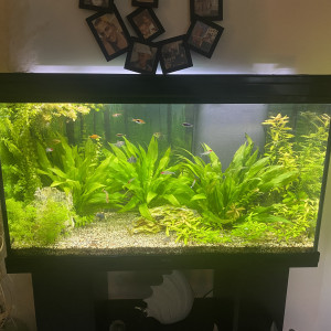 Biotope communautaire