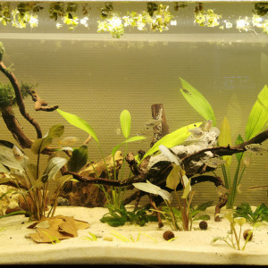 Cuve nue 120L