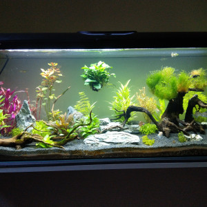 106L