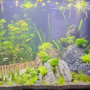Aquatlantis Elegance Expert 80 LED 2.0 Noir - 140 litre utile