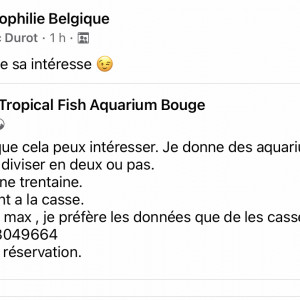 Publication de AquaLolavier