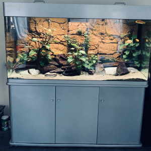 Vends aquarium