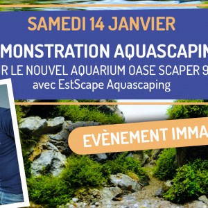 Démonstration Aquascaping