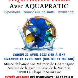 Exposition Bourse