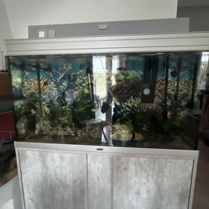 Aqua 200l