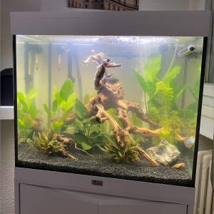 Aquatlantis 120L