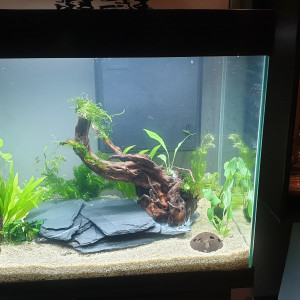 108l