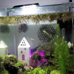 aquarium sensoriel G