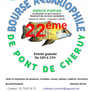 bourse aquariophile de Pont de chéruy (38230) 12 février 2023