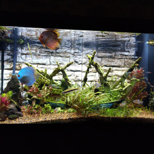 300 litres