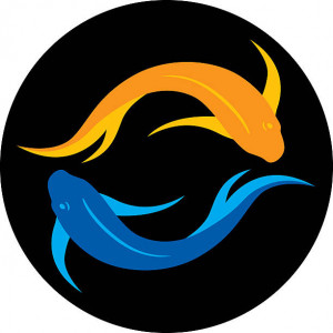 BBFish