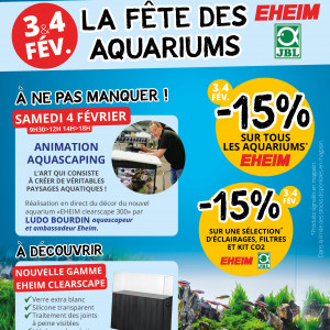 Animation Aquascaping ce samedi 4 février à Haguenau