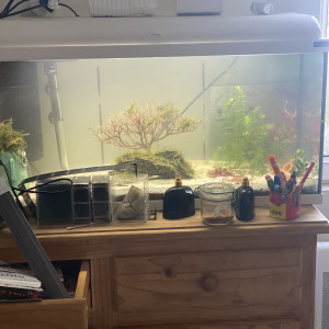 Aquarium repos et alevins