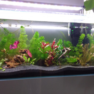 80L