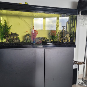 Aquarium 240 litres