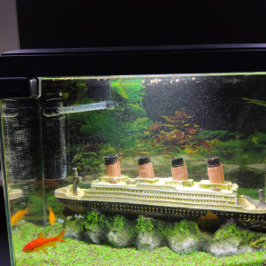 Aquarium salon