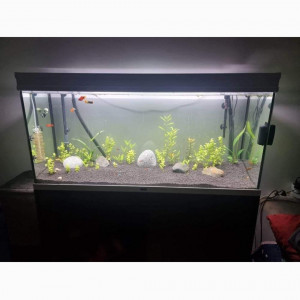 aqualantils