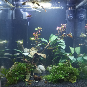 60L
