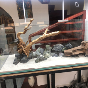 Aquascape 300L