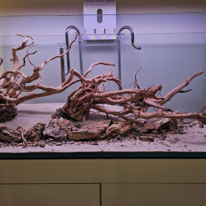 300L scape