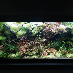 80L Galaxy