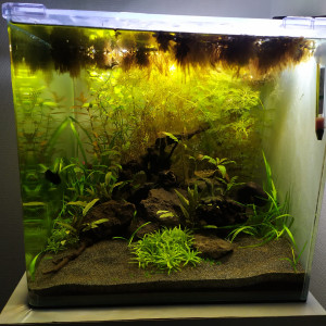 55L
