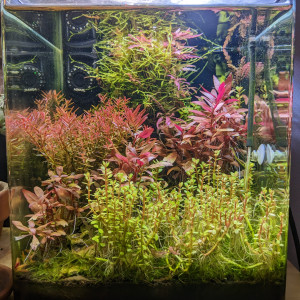 Nano Co2