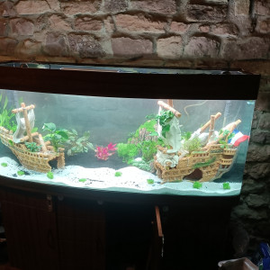 Aquarium 500 litres