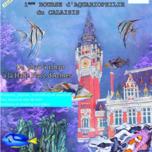 Cercle aquariophile du Calaisis
